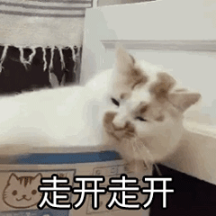 示例图片